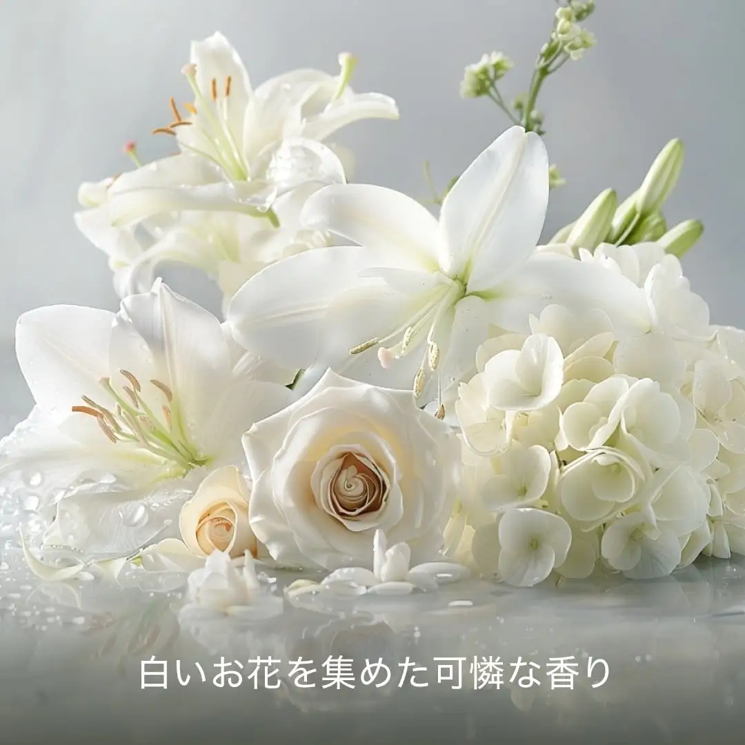 イメージ画像