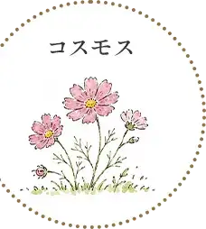 コスモス