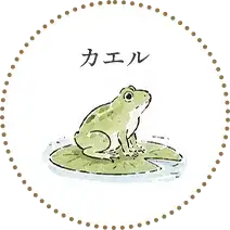 カエル