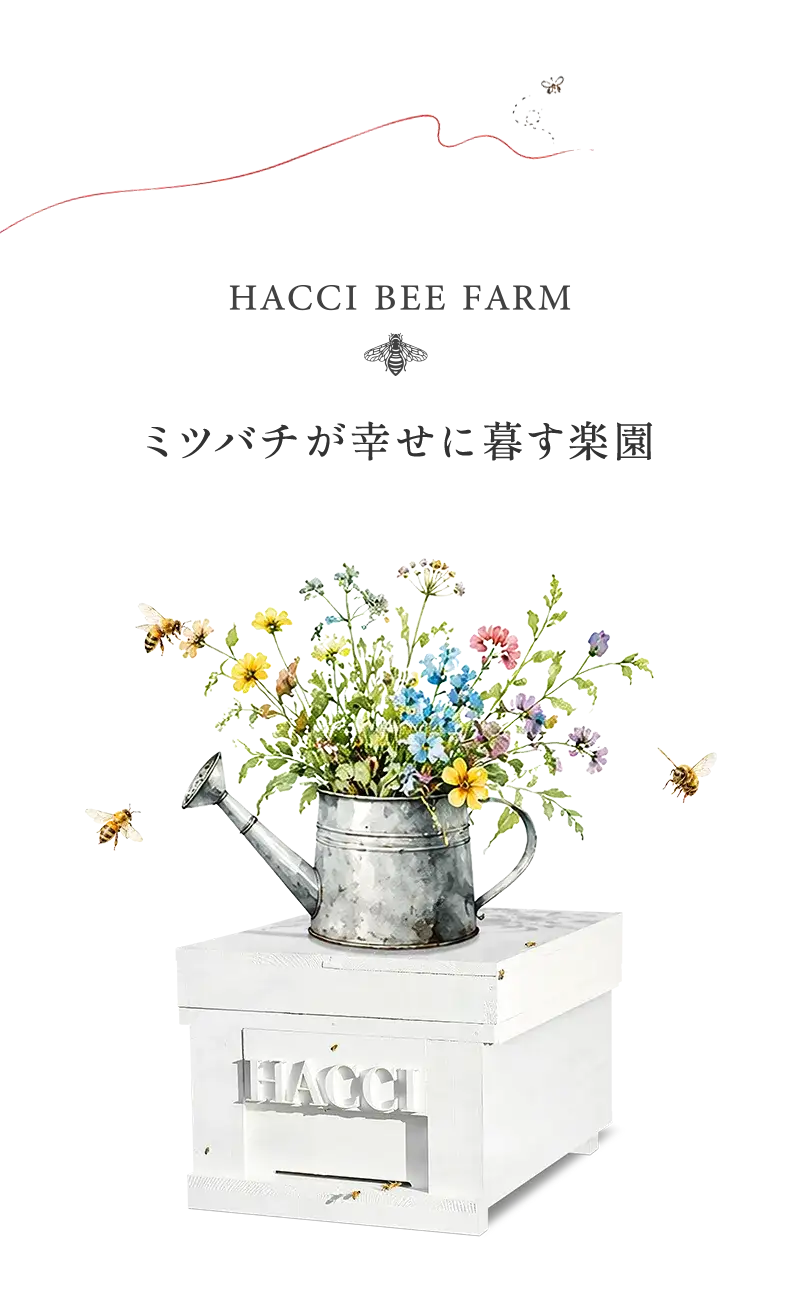 HACCI BEE FARM