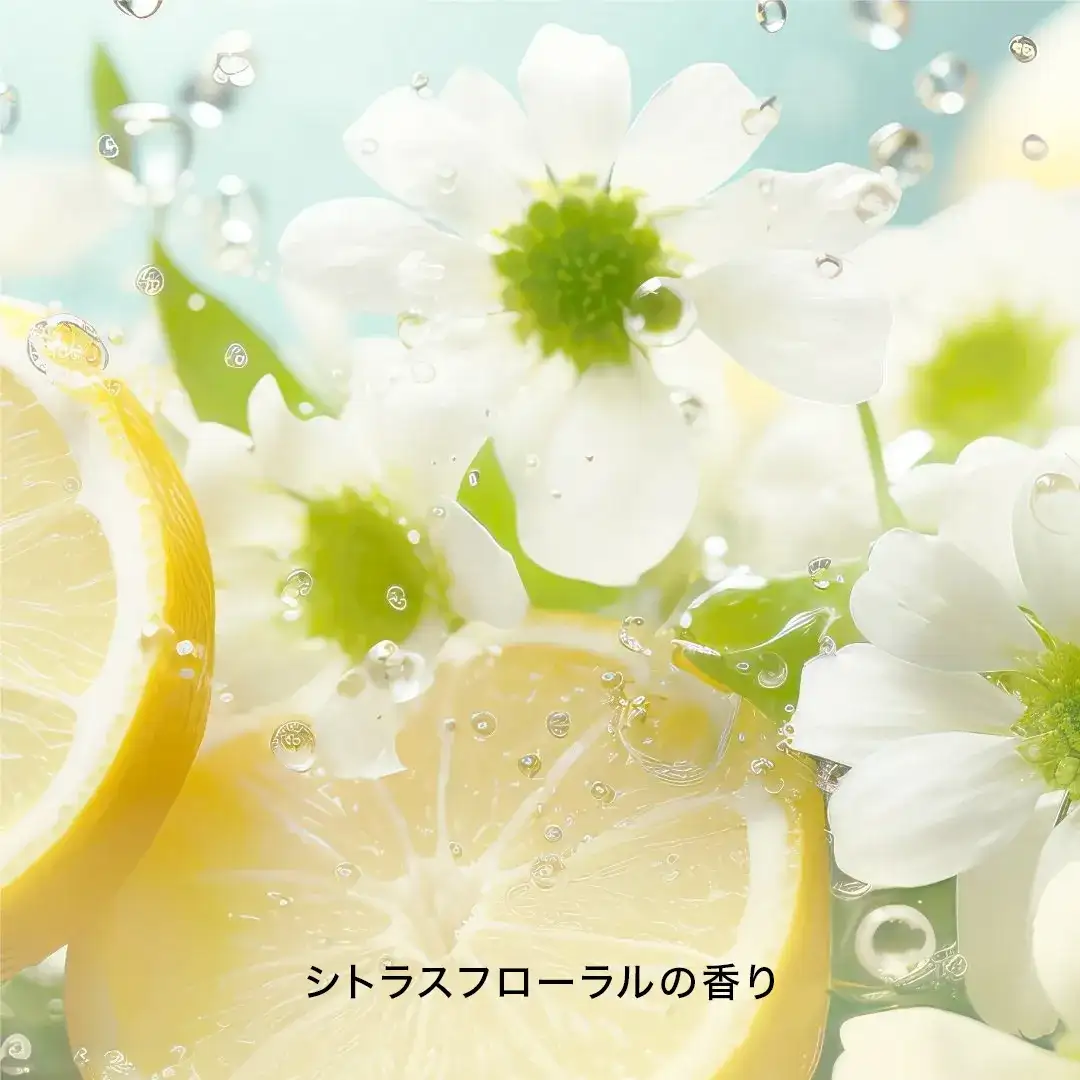 イメージ画像